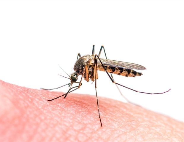 Développement urbain et statut socioéconomique conduisent des points chauds de la dengue à Medellín