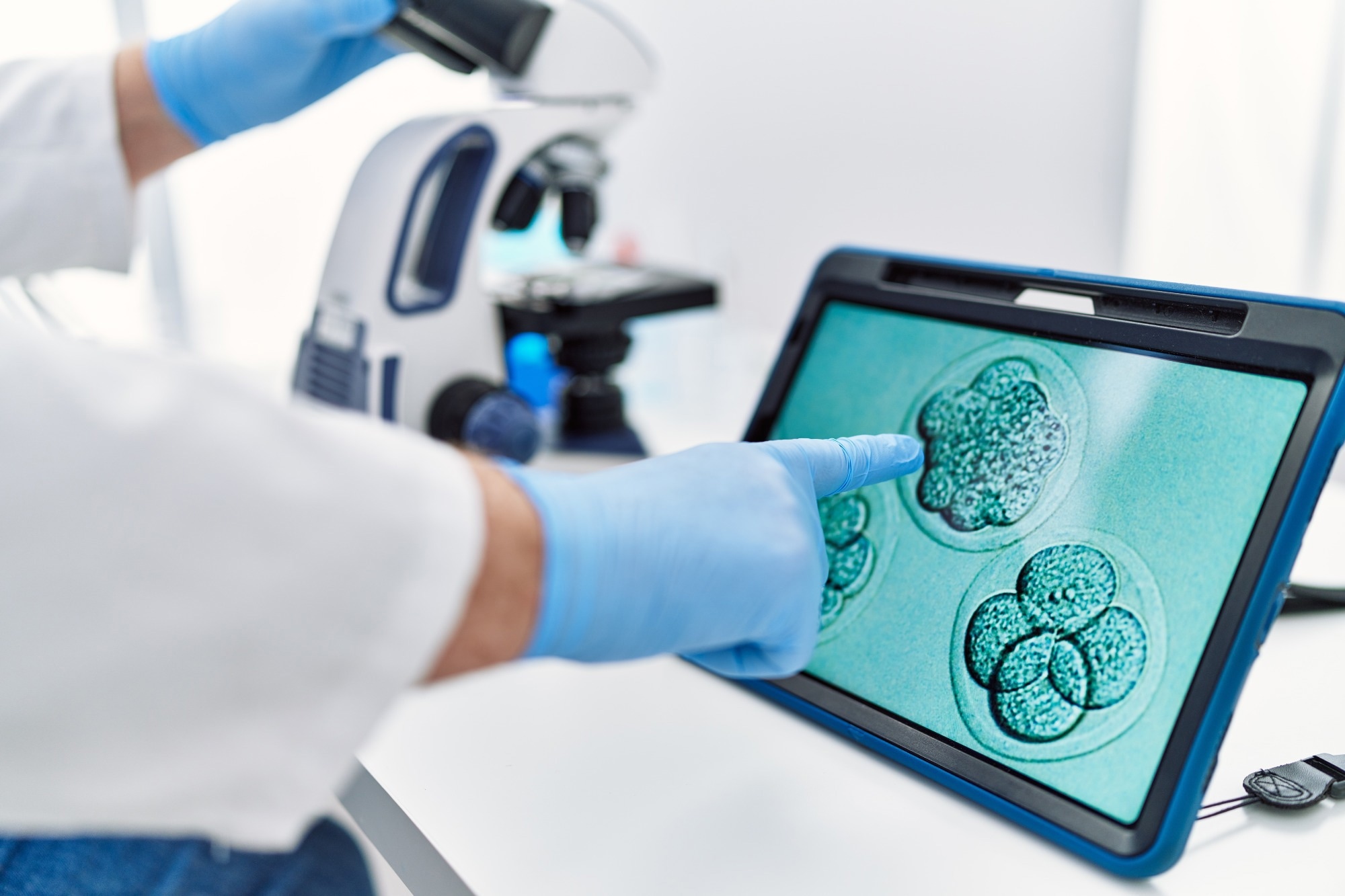 embryology image touchpad at laboratory