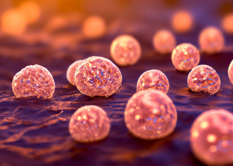 Study: Halicin: A New Approach to Antibacterial Therapy, a Promising Avenue for the Post-Antibiotic Era. Image Credit: Kateryna Kon / Shutterstock