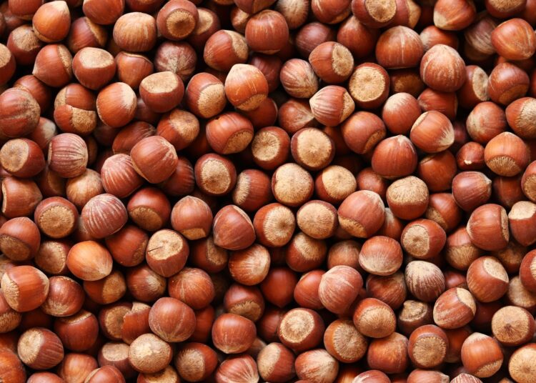 Study: Incorporation of hazelnut skin green extract in pork burgers delays lipid oxidation during cooking and in vitro digestion. Image Credit: Alina Kay / Shutterstock