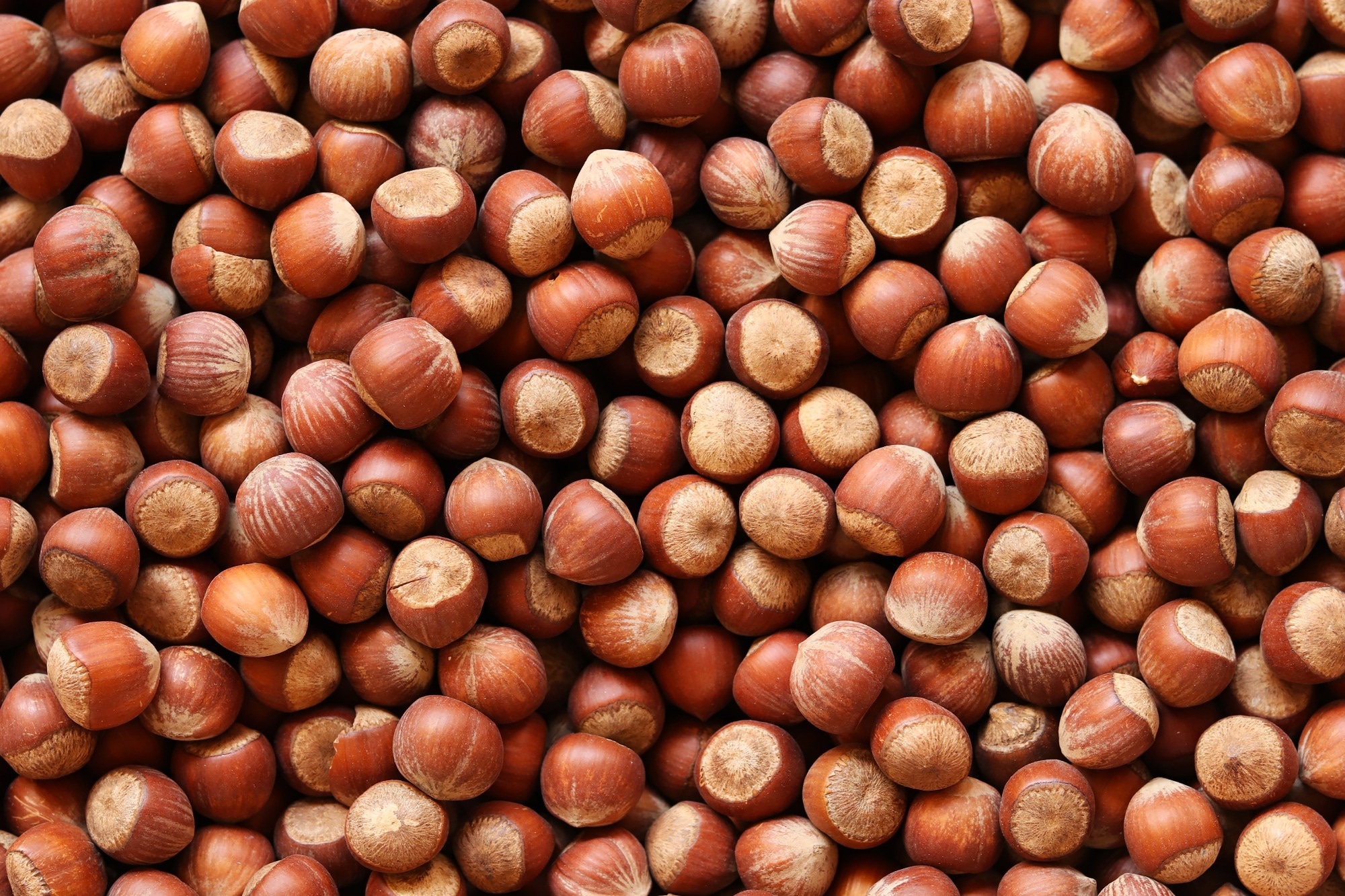 Nut Extract in Hamburgers: Healthier & Safer Eating