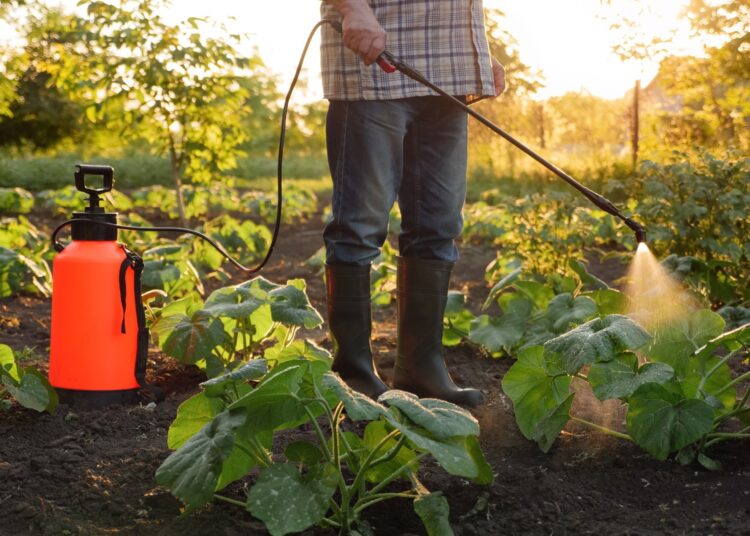 Farmer spraying pesticide