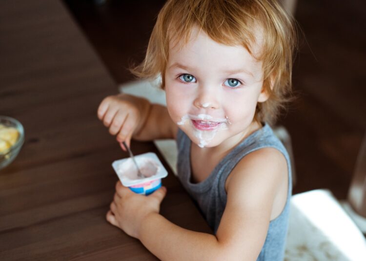 Study: Energy Density and Level of Processing of Packaged Food and Beverages Intended for Consumption by Australian Children. Image Credit: mamaza / Shutterstock