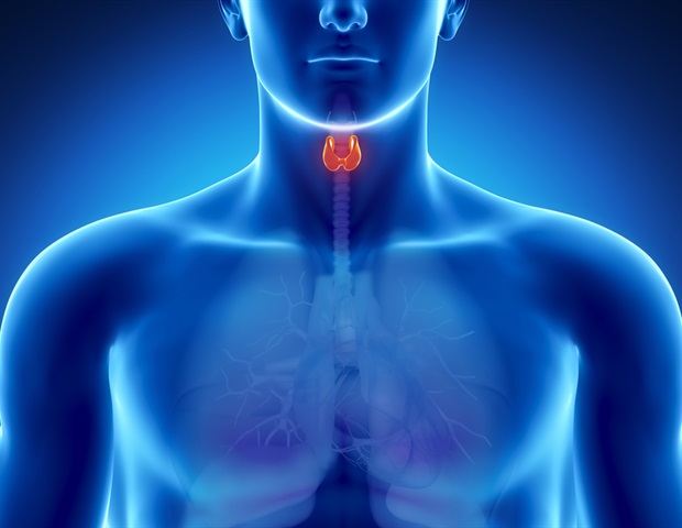 La thyroïde sous-active liée à un risque accru de petite prolifération bactérienne intestinale