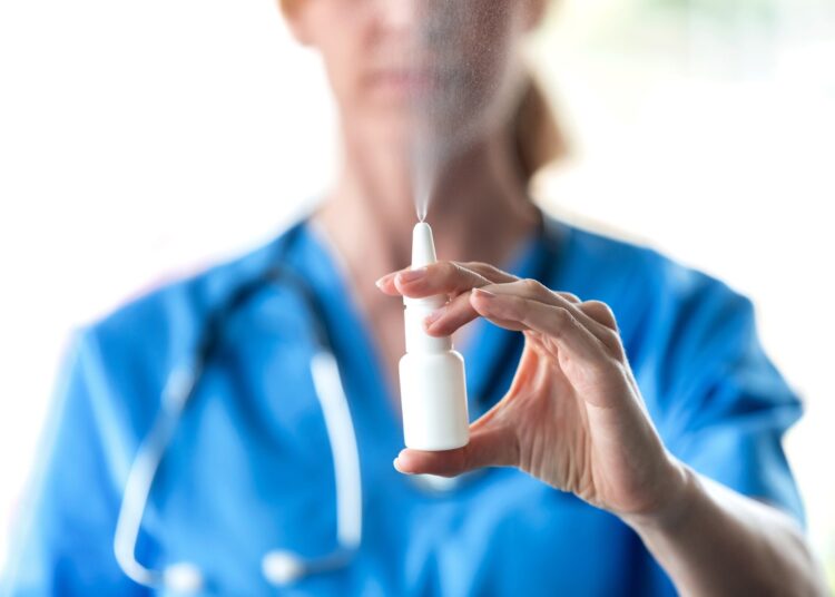 Study: Intranasal monoclonal antibodies to mugwort pollen reduce allergic inflammation in a mouse model of allergic rhinitis and asthma. Image Credit: Josep Suria / Shutterstock