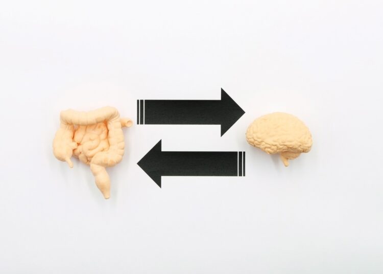 The Gut-Brain Axis. A two-way biochemical signaling that takes place between the gastrointestinal tract (GI tract) and the central nervous system (CNS)