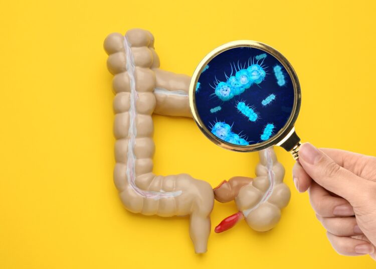 Study: Human gut bacteria bioaccumulate per- and polyfluoroalkyl substances. Image Credit: New Africa / Shutterstock