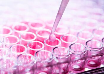 cell culture
