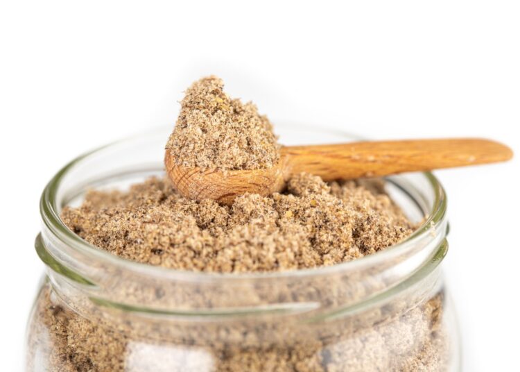 Study: Cricket Flour for a Sustainable Pasta: Increasing the Nutritional Profile with a Safe Supplement. Image Credit: Giedrius Akelis / Shutterstock