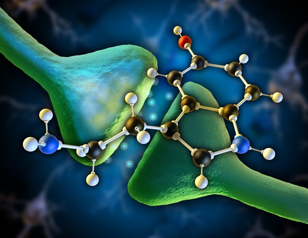 Les scientifiques découvrent un nouveau mécanisme de cerveau à l'origine du SSPT et de la contre-médicament potentiel