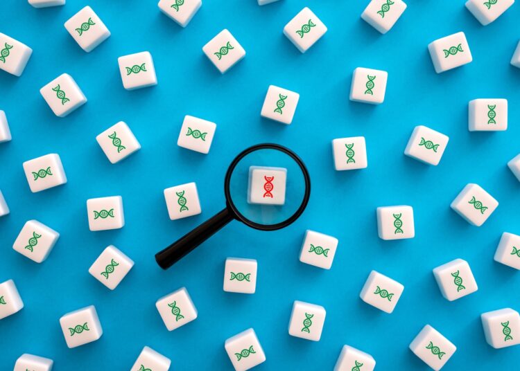Study of genome, identification of mutations abnormalities.