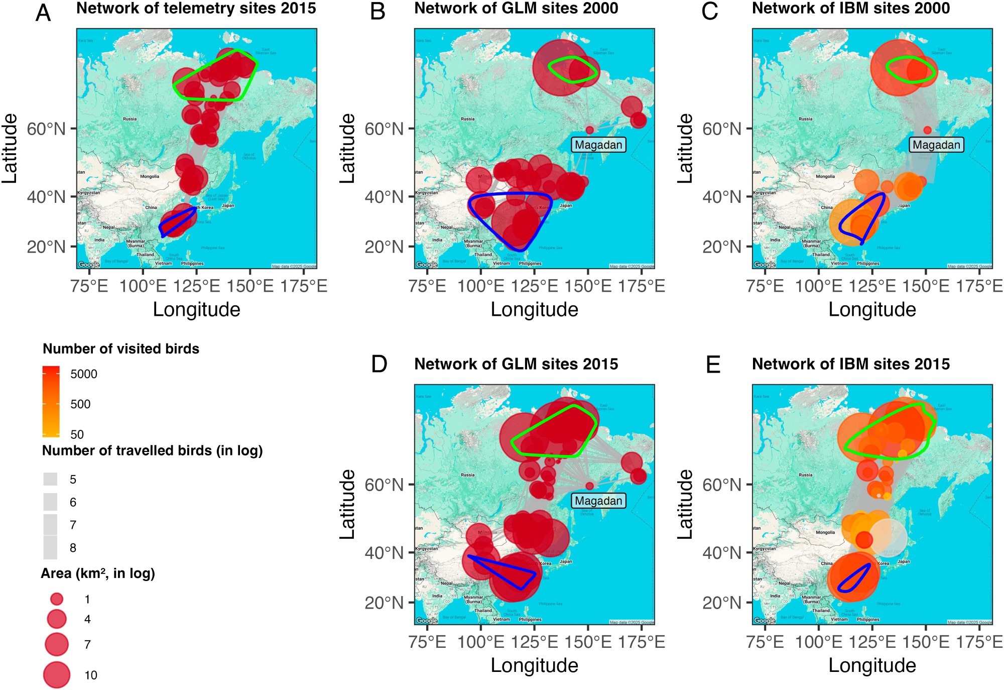 Les réseaux de migration générés par le suivi de la télémétrie, les prédictions GLM et les simulations IBM pour les scénarios 2000 et 2015. (A) réseau de sites de DBBMM à l'aide de données de suivi de télémétrie 2015; (B) réseau de sites prédits par GLM pour 2000; (C) réseau basé sur des sites simulés par IBM pour 2000; D) réseau de sites prédits par GLM pour 2015; (E) Réseau basé sur des sites simulés par IBM pour 2015. Liens dans les réseaux A, B et D utilisent la longueur du pas de migration, tandis que les liens dans les réseaux C et E utilisent des trajectoires de mouvement IBM simulées. Les contours verts et bleus montrent respectivement des gammes de reproduction et d'hivernage. Dans les réseaux C et E, la couleur du nœud indique le nombre d'oiseaux visités et la largeur de liaison indique le nombre d'oiseaux itinérants.
