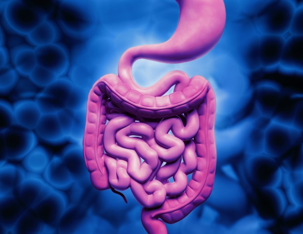 L'admission du yaourt et le bain de printemps chaud ensemble améliorent la santé intestinale