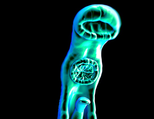 Le ver parasite échappe à la détection en supprimant les neurones cutanés