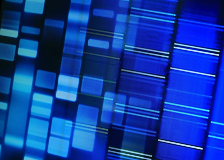 Study: Parent-of-origin effects on complex traits in up to 236,781 individuals. Image Credit: isak55 / Shutterstock