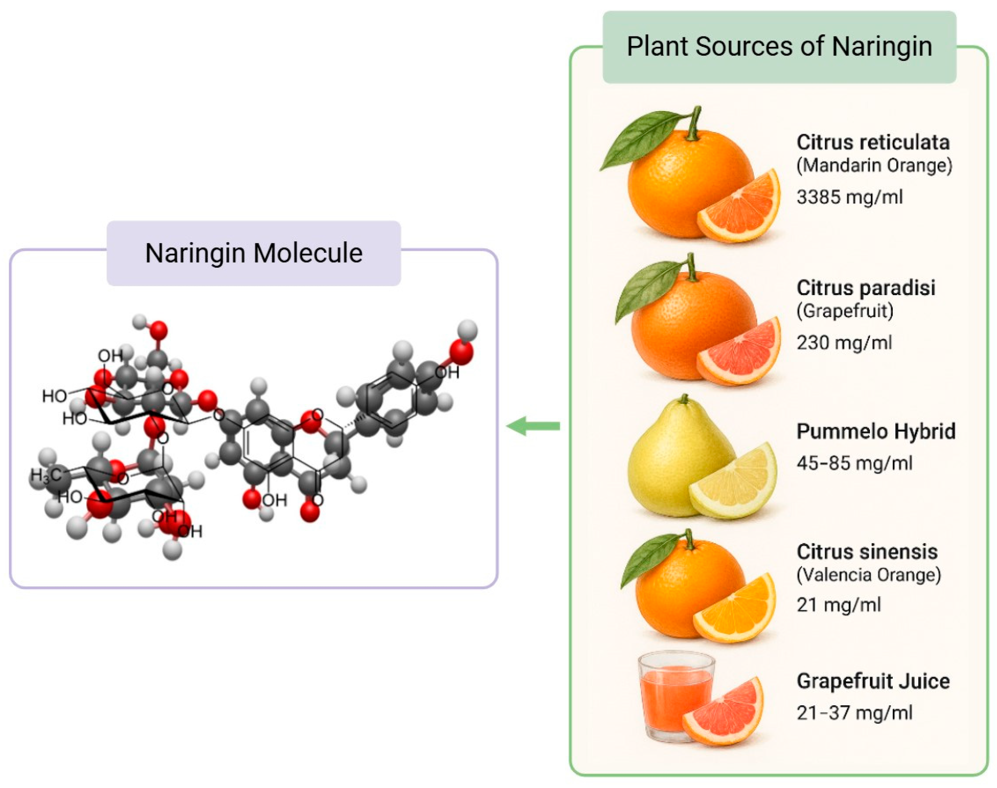 Structure moléculaire de la narinine et sources alimentaires d'agrumes. La concentration de narinine dans les sources de plantes a été obtenue à partir d'Alam et al.
