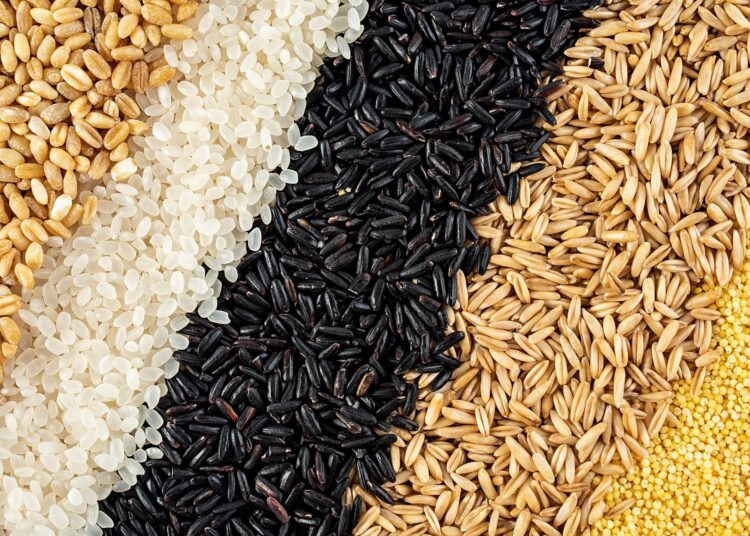 Review: Healthy Grains in Healthy Diets: The Contribution of Grain Foods to Diet Quality and Health in the National Health and Nutrition Examination Survey 2017–2023. Image Credit: sisi2017 / Shutterstock