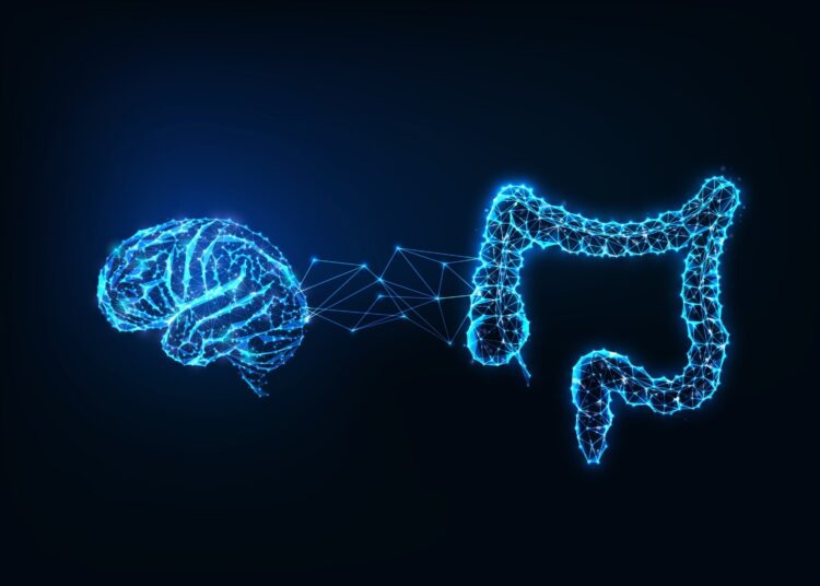Les troubles de l'intestin prévoient des années de risque d'Alzheimer et de Parkinson avant le diagnostic