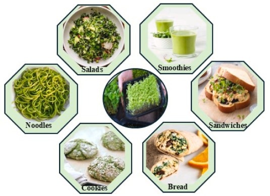applications OOD des micro-verts des céréales et des psudocereals