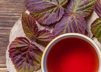 Study: Effects of Raspberry Leaf Tea Polyphenols on Postprandial Glucose and Insulin Responses in Healthy Adults. Image Credit: Evgrafova Svetlana / Shutterstock