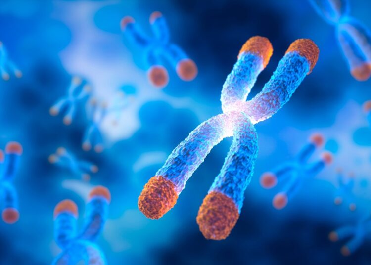 Study: Associations between air pollution and relative leukocyte telomere length among northern Swedish adults based on findings from the Betula study. Image Credit: peterschreiber.media / Shutterstock