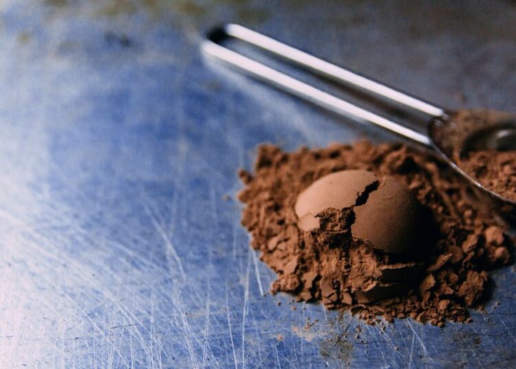 La prise de compléments d'extrait de cacao pourrait-il empêcher quotidiennement la maladie cardiaque liée à l'âge?