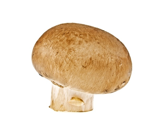 La recherche révèle des ingrédients actifs non divulgués dans les produits de champignon de vente au détail