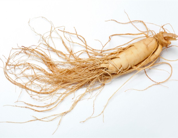 La revue met en évidence les effets immunomodulatoires et thérapeutiques du ginseng