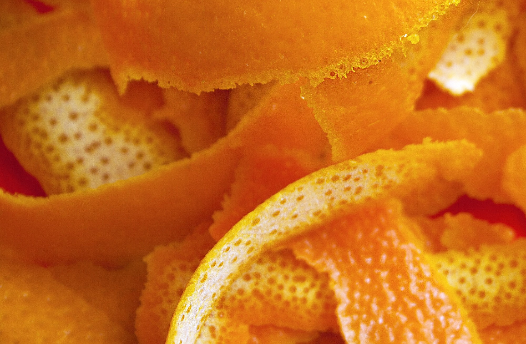 Study: Exploring the In Vitro Anti-Inflammatory Effect of Citrus Fruit Hesperidin Supplementation. Image Credit: kisa2014 / Shutterstock
