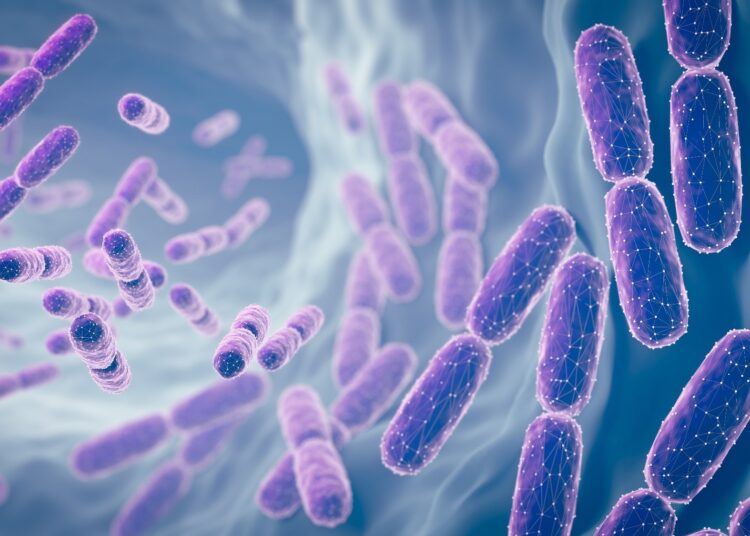 Study: Precision Probiotics Regulate Blood Glucose, Cholesterol, Body Fat Percentage, and Weight Under Eight-Week High-Fat Diet. Image Credit: Anusorn Nakdee  / Shutterstock
