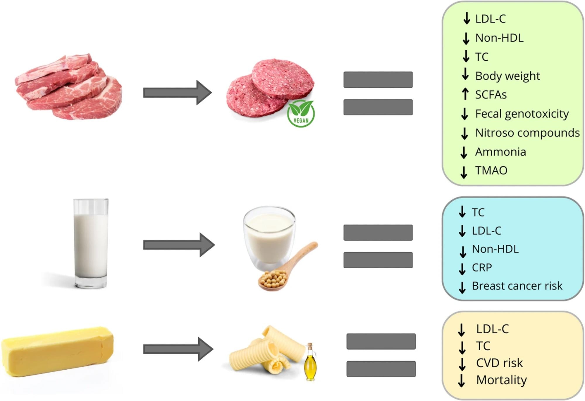 Effets sur la santé du remplacement des aliments d'origine animale non transformés par des alternatives végétales ultra-transformées. Le remplacement du lait de vache par du lait de soja entraîne une réduction des niveaux de TC, de LDL-C et de CRP, et est associé à un risque plus faible de cancer du sein. Le remplacement de la viande par des analogues d'origine végétale réduit le TC, le LDL-C, le poids corporel, la génotoxicité fécale, les composés nitroso, le TMAO en circulation et l'ammoniac, et augmente l'excrétion des SCFA. Remplacer le beurre par de la margarine entraîne une réduction du TC, du LDL-C, du risque de maladies cardiovasculaires et de la mortalité. Abréviations : cholestérol des lipoprotéines de basse densité, LDL-C; le cholestérol non lié aux lipoprotéines de haute densité, non HDL ; cholestérol total, TC ; acides gras à chaîne courte, SCFA ; l'oxyde de triméthylamine, TMAO; Protéine C-réactive, CRP ; maladie cardiovasculaire, MCV
