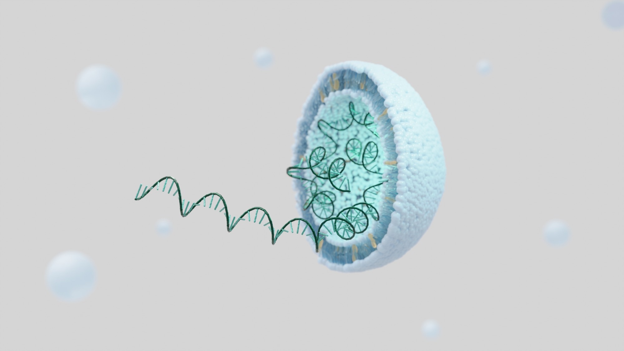 Study: SARS-CoV-2 mRNA vaccines sensitize tumours to immune checkpoint blockade. Image Credit: KwangSoo Kim / Shutterstock