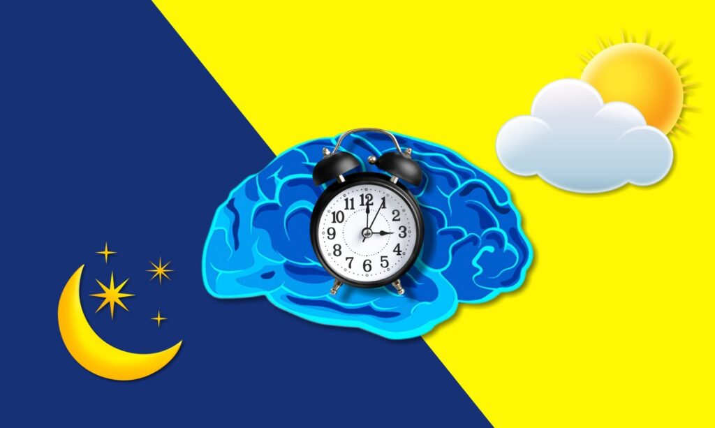 Role of Circadian Health in Cardiometabolic Health and Disease Risk: A Scientific Statement From the American Heart Association. Credit: Billion Photos / Shutterstock