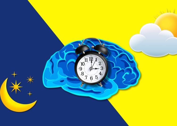 Role of Circadian Health in Cardiometabolic Health and Disease Risk: A Scientific Statement From the American Heart Association. Credit: Billion Photos / Shutterstock