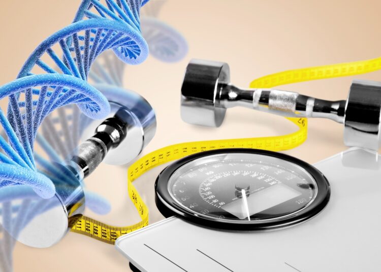 Study: Time-resolved Mendelian randomization detects substantial variation in the detrimental effect of obesity throughout life. Image Credit: Billion Photos / Shutterstock