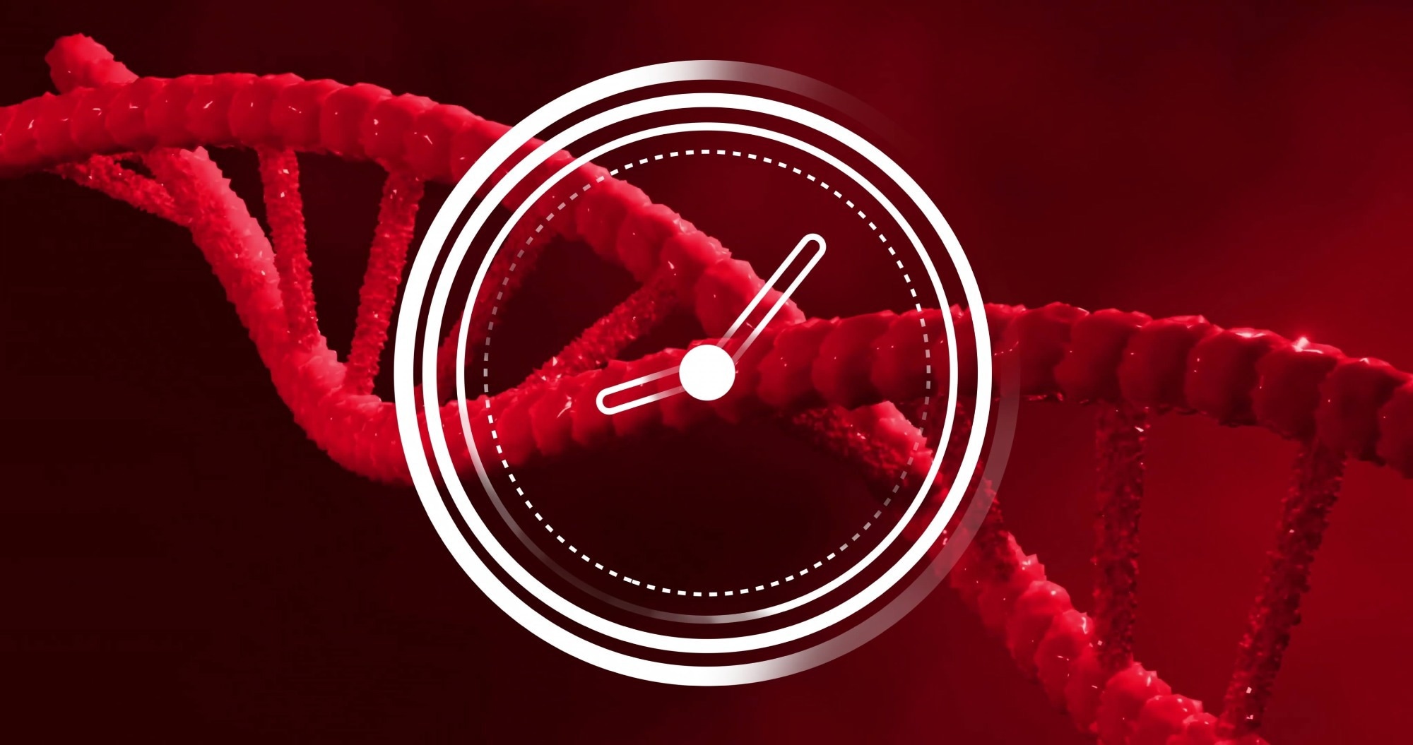 Study: A full life cycle biological clock based on routine clinical data and its impact in health and diseases. Image Credit: vectorfusionart / Shutterstock