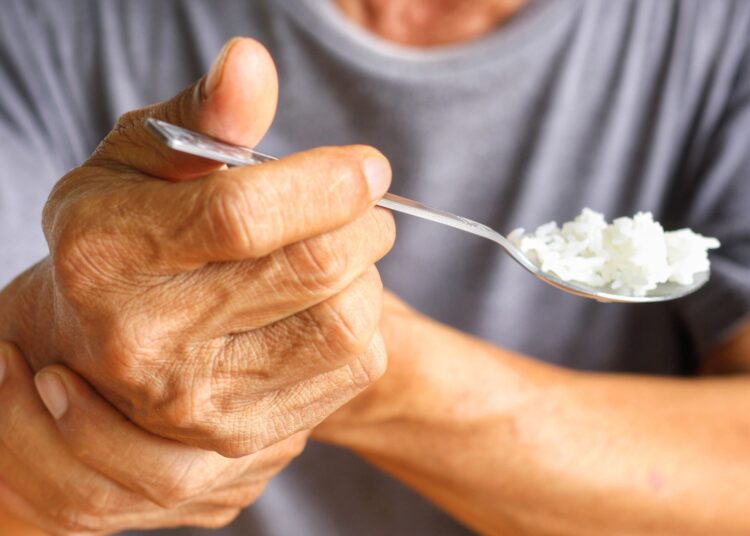 Study: The impact of diet on Parkinson