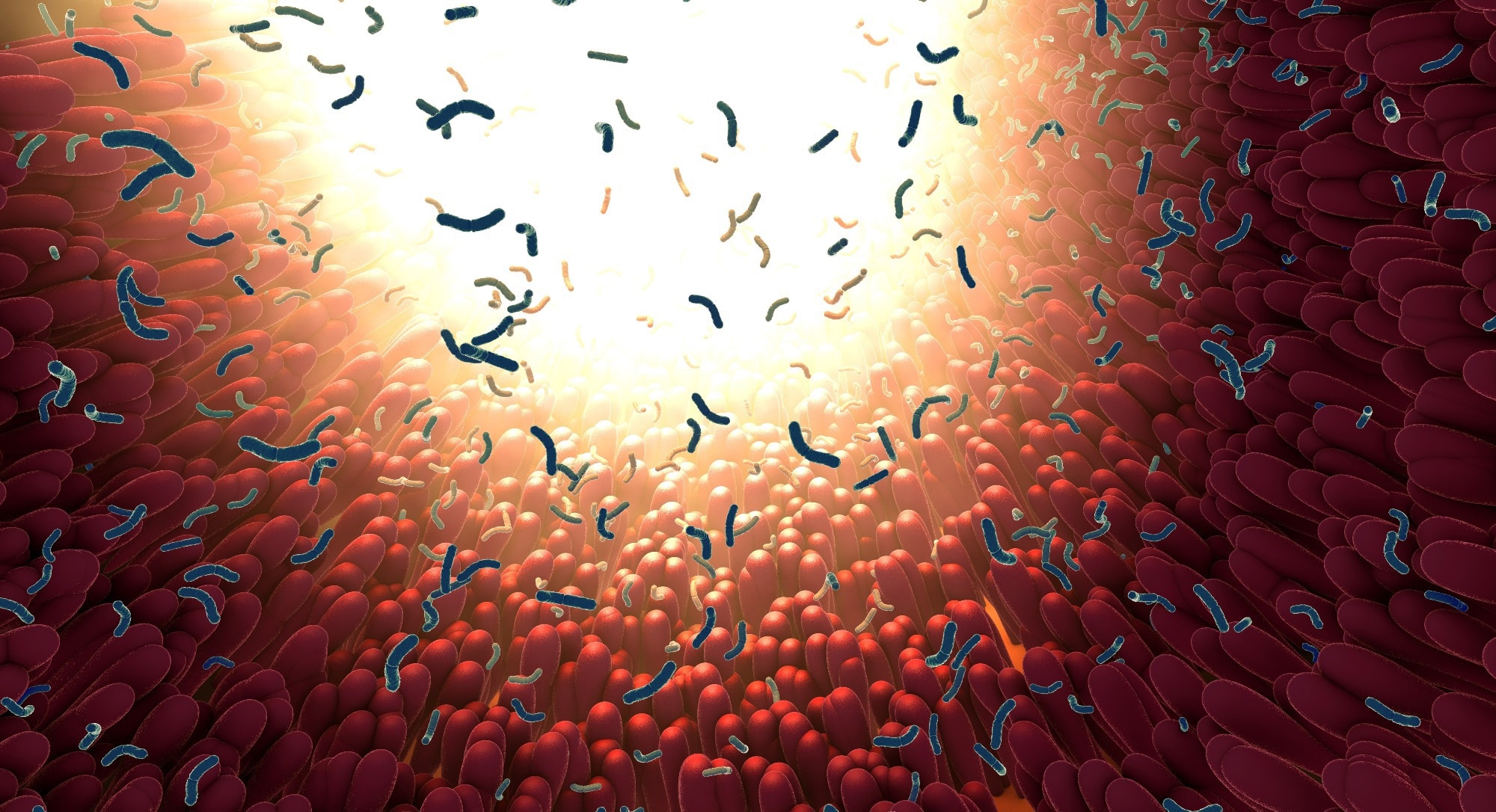 Gut Bacteria Predicts Age and Lifestyle