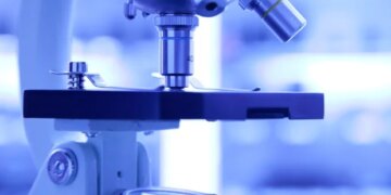 La plasticité épigénétique des cellules B du centre germinal peut aider à expliquer les origines du lymphome