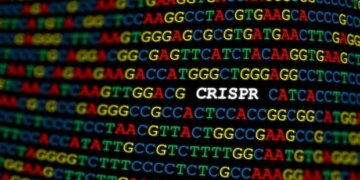 Un outil précis pour stopper la production de protéines virales