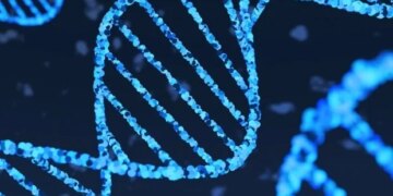 Le déficit développemental en ANGPTL4 protège les souris de la colite et des tumeurs