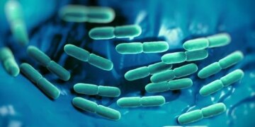 Le traitement précoce de la tuberculose réduit les décès dus à la sepsie chez les patients infectés par le VIH
