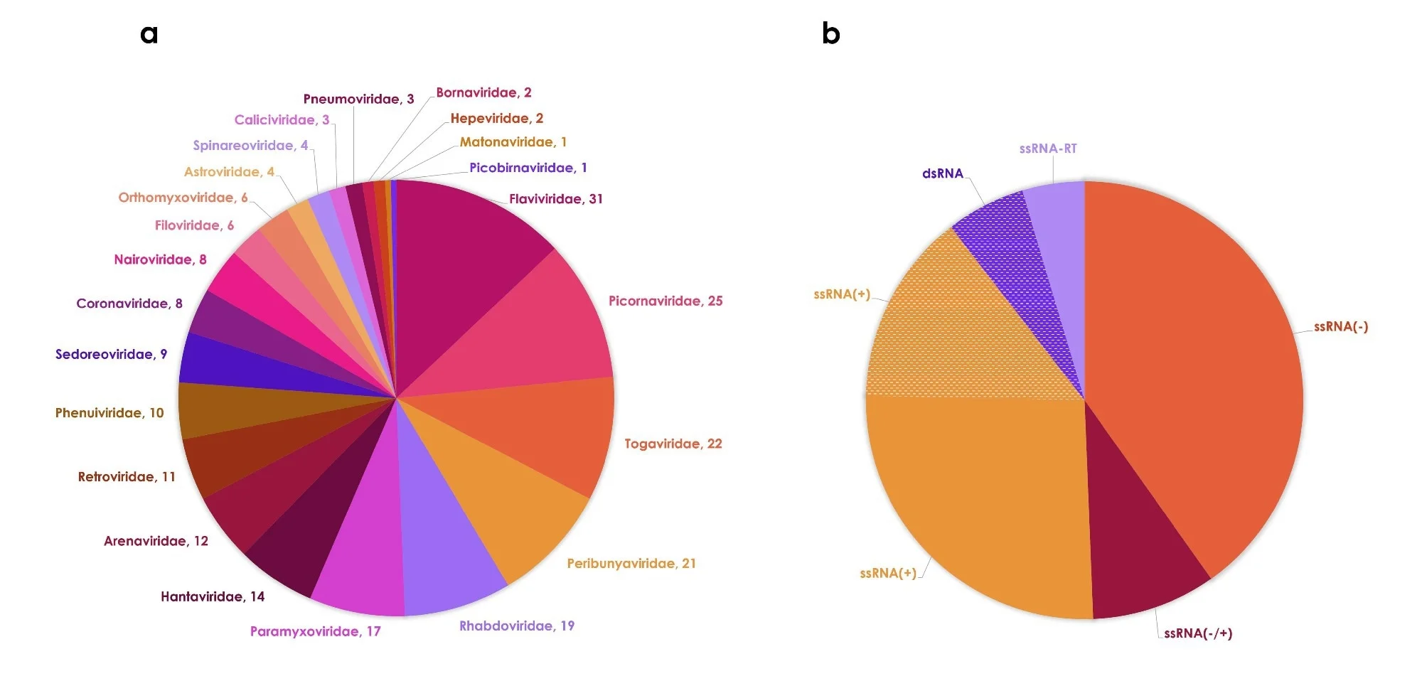 Le décompte annuel des espèces de virus à ARN infectieux pour l'homme, nouvelles et (actuellement) reconnues par l'ICTV, est présenté à la figure 2a. La figure 2b représente l'accumulation d'espèces au fil du temps, ainsi que l'accumulation de genres et de familles contenant une ou plusieurs espèces de virus à ARN infectieux pour l'homme. Le premier virus humain à ARN – le virus de la fièvre jaune – a été signalé en 1901. Le nombre d’espèces augmente lentement jusqu’au milieu des années 1950, puis un peu plus rapidement. À la fin du 20e siècle, 178 espèces avaient été identifiées, et jusqu'à présent, au 21e siècle, 61 autres ont été ajoutées. Par décennie, les années 1960 ont marqué le plus grand nombre de nouvelles espèces (42). Ce fut ensuite dans les années 2000 (31), mais le taux baissa à nouveau dans les années 2010.