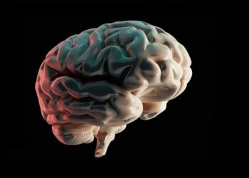 Bio-Techne présente une architecture de marque rationalisée pour aider les clients à naviguer dans les solutions plus rapidement et avec plus de clarté