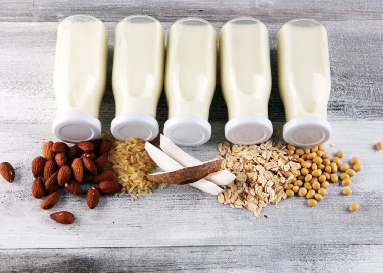 Various vegan plant based milk alternatives and ingredients. Dairy free milk substitute drink, healthy eating.