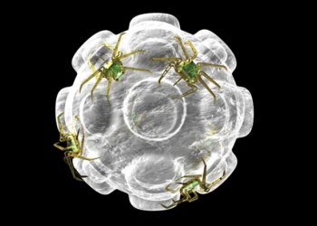 La nanomédecine propose des solutions ciblées pour le traitement du cancer du sein