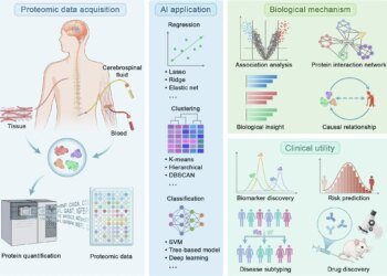 Proteomics analytical pipeline in precision medicine. Review: The emerging role of high-throughput proteomics in advancing precision medicine
