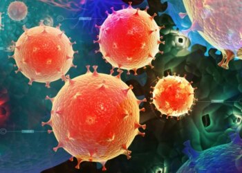 Le modèle d’organe sur puce fait progresser l’étude des infections sexuellement transmissibles