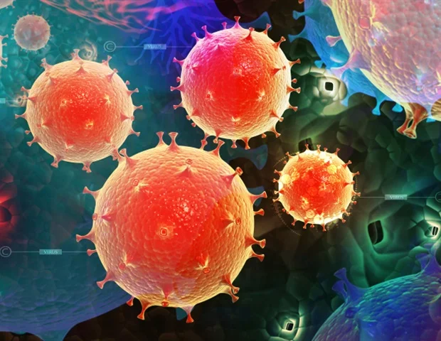 Le modèle d’organe sur puce fait progresser l’étude des infections sexuellement transmissibles