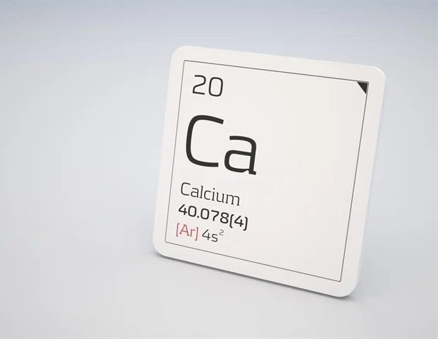 Les mutations des canaux calciques perturbent le développement précoce du cerveau et provoquent l'épilepsie